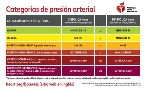 Esquema de la presión arterial y sus valores normales