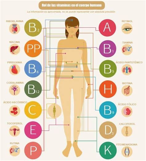 Esquema de las funciones de la vitamina K en el cuerpo humano