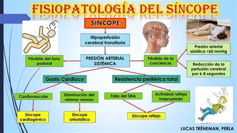 Diagrama de flujo para la clasificación del síncope en pediátria