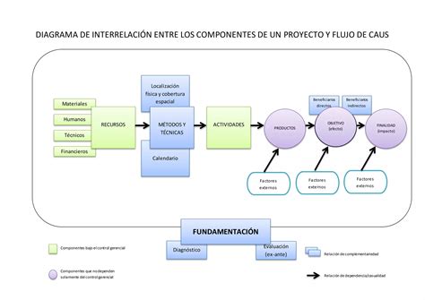Diagrama de interrelación entre vida dependiente, nasciturus y bien jurídico protegido