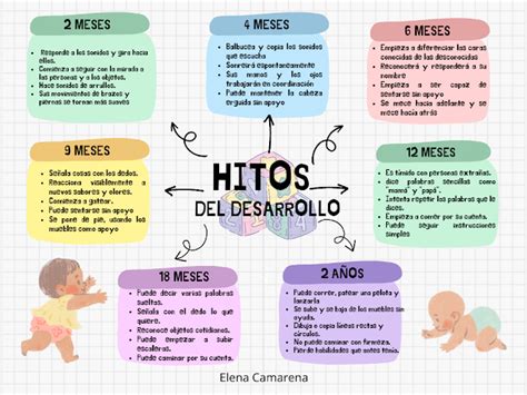 Gráfico de hitos de desarrollo para introducir la taza