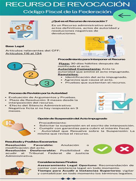 Infografía sobre los plazos de matrícula y opciones disponibles en Formación Profesional