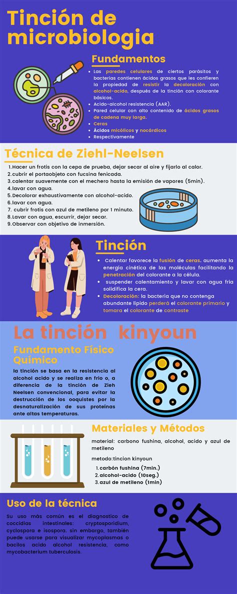Infografía: Comparación de métodos de tinción y prueba hipoosmótica para la evaluación de la vitalidad espermática