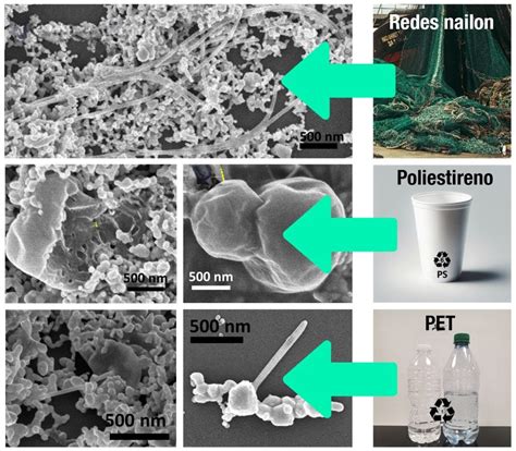 Foto de microscopio mostrando microplásticos o nanoplásticos para ilustrar la investigación