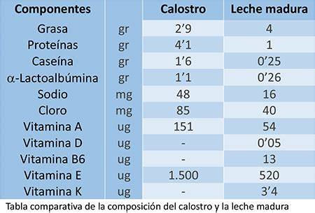 infografía comparativa de la composición nutricional del calostro y la leche canina
