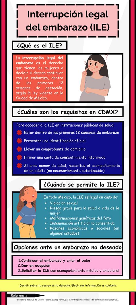 Diagrama de las opciones para la interrupción del embarazo