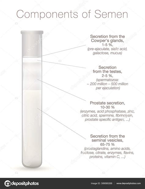 Infografía: Composición química del semen