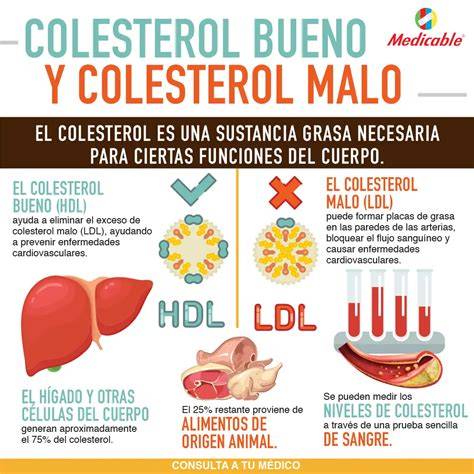 infografía sobre colesterol bueno y malo y sus efectos en el cuerpo