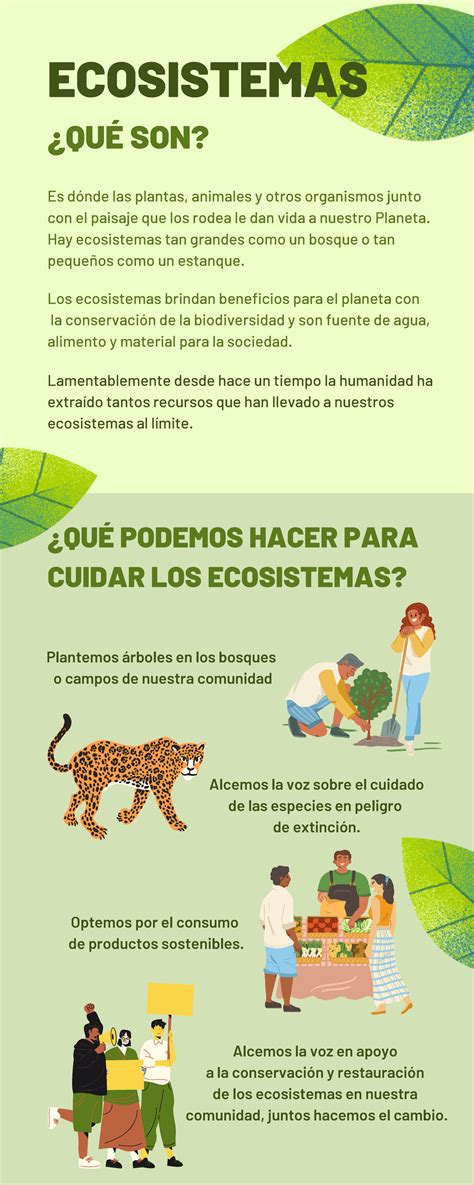 Infografía sobre los requisitos de disfraces para bebés (comodidad, seguridad, material)