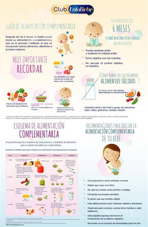 Esquema de las fases de introducción de alimentos en la alimentación complementaria