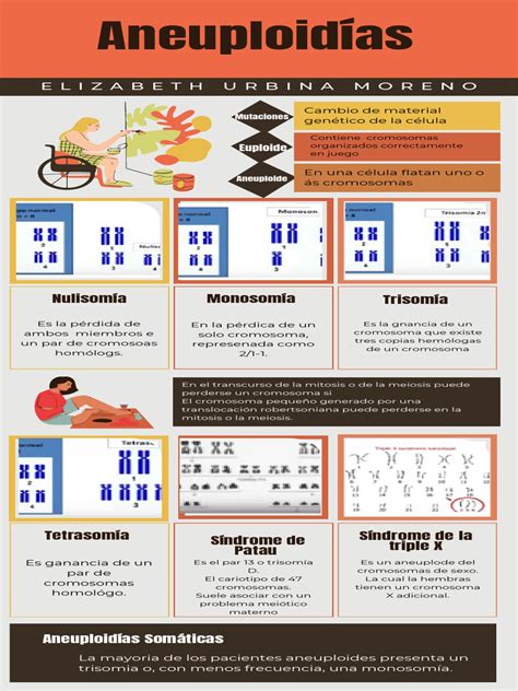 Infografía sobre las principales aneuploidías y sus características