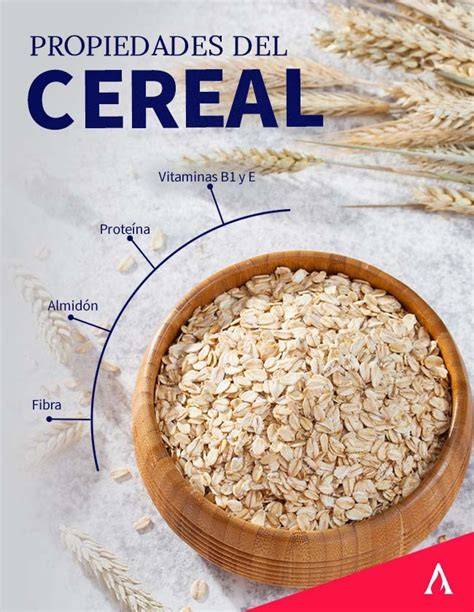 Infografía o esquema detallado de los ingredientes principales de una papilla de cereales y galletas