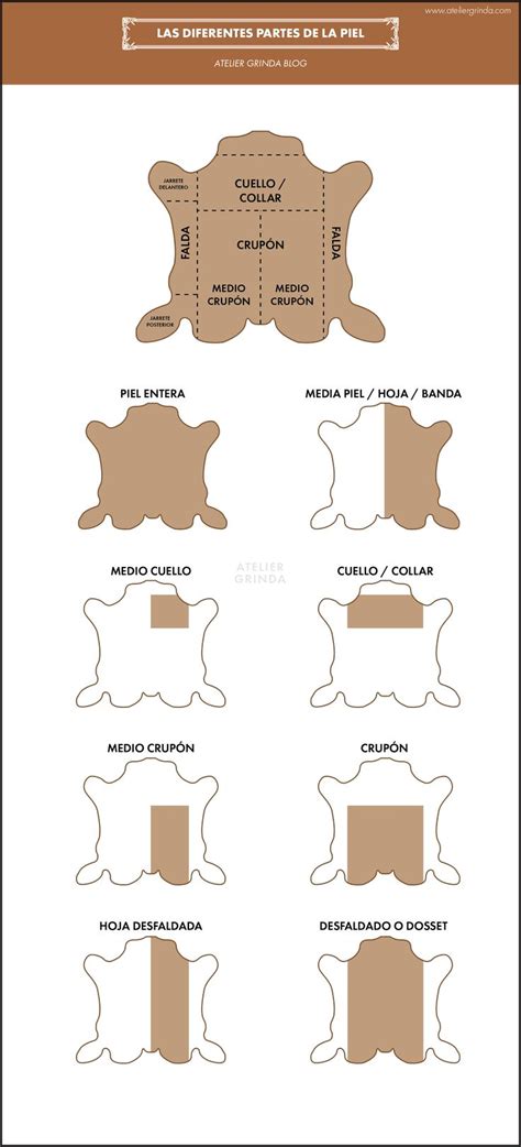 Infografía que muestra las diferentes partes de una vestidura de minicuna: edredón, protectores, sábanas