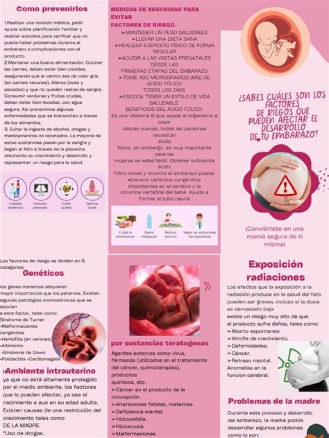 infografía comparativa de seguridad de analgésicos comunes durante el embarazo