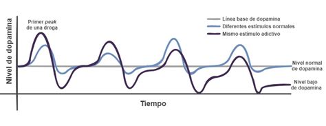 Gráfico mostrando la fluctuación de los niveles de dopamina en el cuerpo bajo estrés