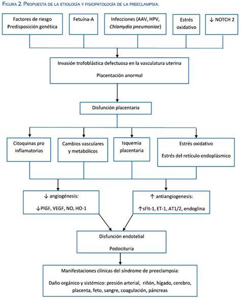 Esquema de la fisiopatología de la preeclampsia: desde la disfunción placentaria inicial hasta el estado antiangiogénico y la disfunción endotelial sistémica.