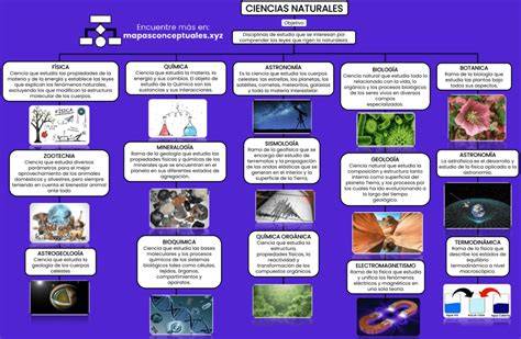 Esquema visual que muestra las áreas clave de Ciencias Naturales para segundo de primaria: el cuerpo humano, el reino animal, las plantas y los alimentos saludables.