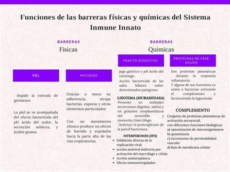 Infografía comparativa: Barreras físicas y químicas que encuentra el espermatozoide en su camino al óvulo