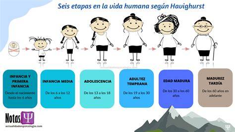 Esquema de las diferentes etapas de la vida de la mujer atendidas por la matrona
