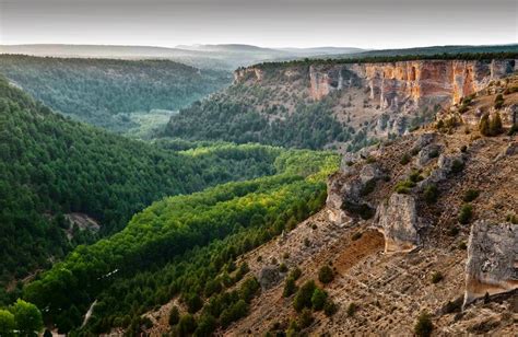 Panorámica del Cañón del Río Lobos con sus imponentes paredes rocosas y el río serpenteando a través de él.