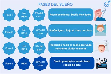 Gráfico de la evolución de los ritmos del sueño en la infancia