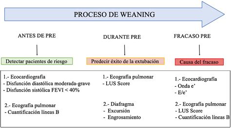 Diagrama de flujo del proceso de weaning, mostrando las fases de cribado, prueba de ventilación espontánea y soporte post-extubación.