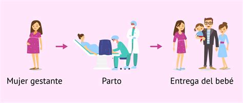 Esquema explicativo del proceso de gestación subrogada: desde la selección de padres intencionales hasta el nacimiento del bebé.