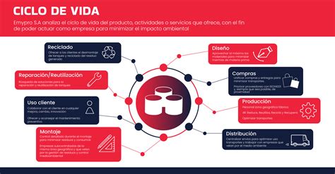 Infografía: Ciclo de vida y opciones de destino para preembriones crioconservados