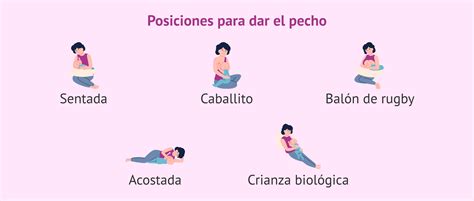 Gráfico con las distintas posturas de lactancia