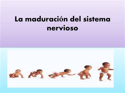 Esquema explicativo sobre la maduración del sistema nervioso y los movimientos involuntarios en el sueño infantil.