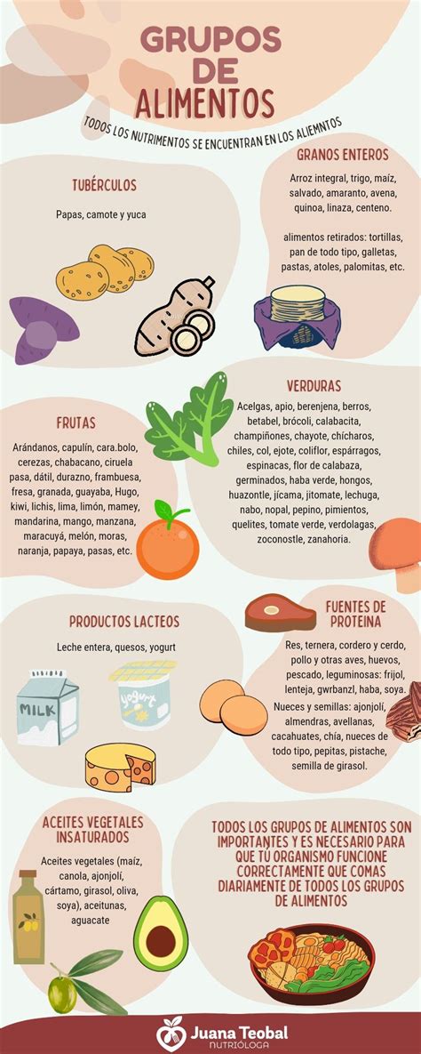 Infografía mostrando los grupos de alimentos y la progresión de texturas.