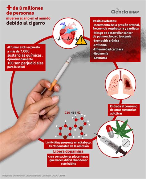 Infografía comparativa de los efectos de diferentes sustancias (Alcohol, Tabaco, Cocaína, Metilmercurio) en el desarrollo fetal.