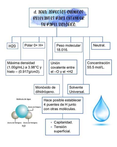 Esquema de las propiedades del agua marina microfiltrada