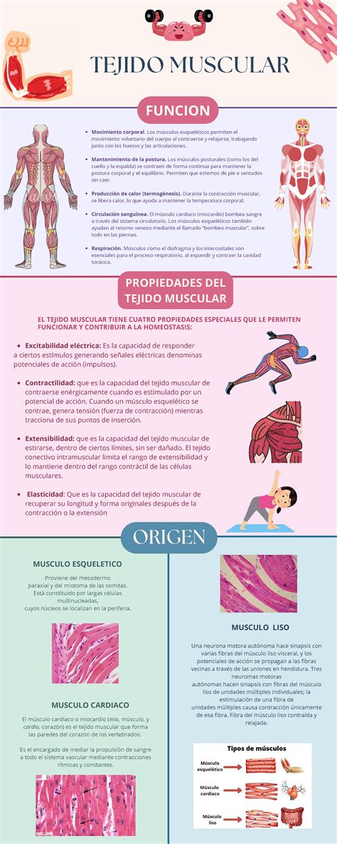 Infografía que muestra las propiedades del tejido 100% algodón y sus beneficios para la piel del bebé