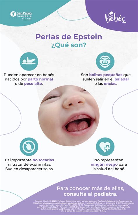 Esquema detallado de las perlas de Epstein y los nódulos de Bohn en la cavidad oral de un recién nacido