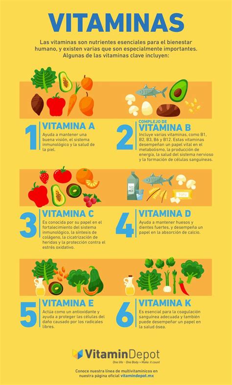 Infografía que muestra los beneficios nutricionales de las verduras para bebés (vitaminas, minerales, fibra).