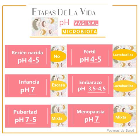 Infografía sobre el pH vaginal y la flora bacteriana