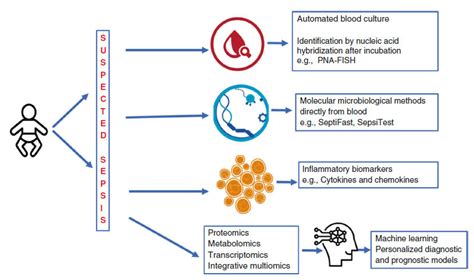 infografía sobre el algoritmo diagnóstico de la sepsis neonatal, incluyendo pruebas de laboratorio y clínicas