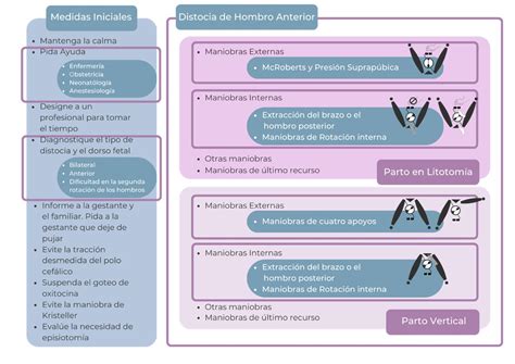 Diagrama con los principales diámetros pelvianos de un animal doméstico.