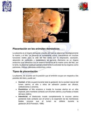 Ilustración comparativa de los diferentes tipos de placentación en animales.