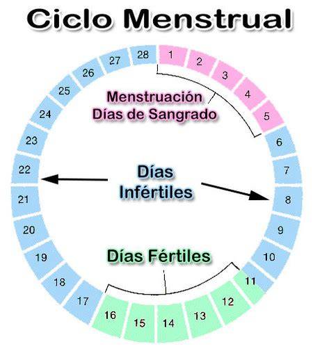 Calendario de fertilidad resaltando los días fértiles en un ciclo de 28 días