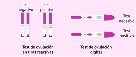Imagen de un test de ovulación mostrando un resultado positivo