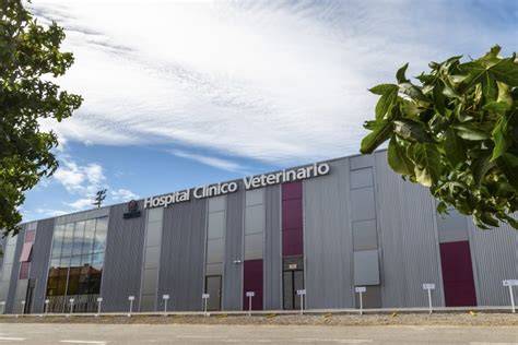 Instalaciones modernas del Hospital Clínico Veterinario de la UCO