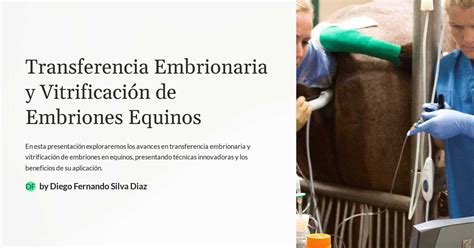 Proceso de transferencia de embriones en equinos