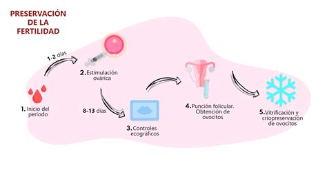 diagrama de flujo sobre la preservación de fertilidad en pacientes oncológicos