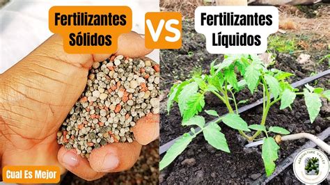 Comparativa de ventajas entre fertilizantes líquidos y sólidos en un gráfico