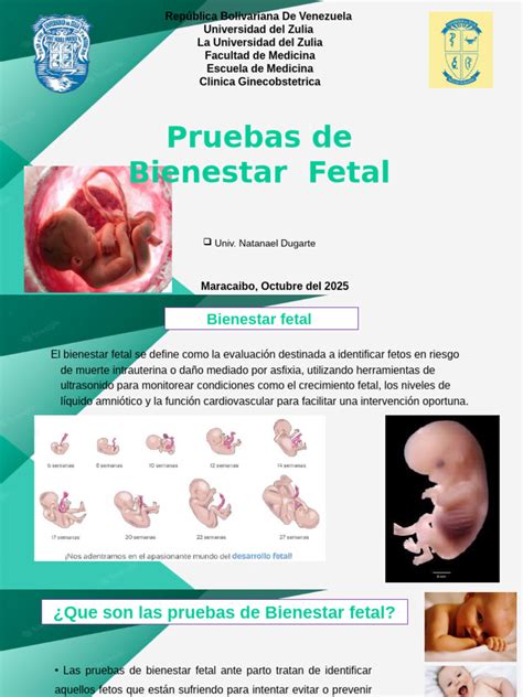 Esquema de las diferentes pruebas para evaluar el bienestar fetal