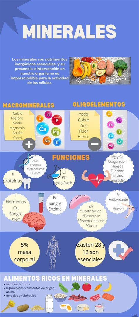 Infografía detallando vitaminas y minerales en la papilla Nutribén