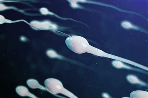 Espermatozoide con movimiento lento