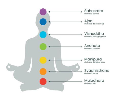 Diagrama que muestra la progresión de los chakras en el desarrollo fetal